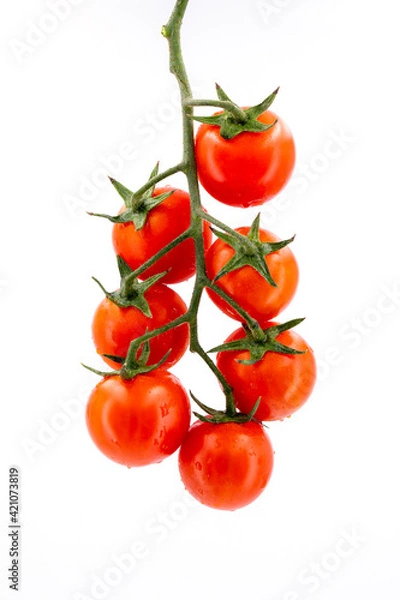 Obraz sicilian tomatoes