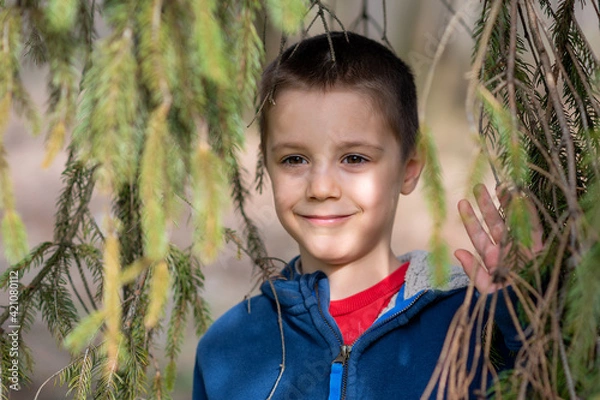 Obraz Portrait of little boy in nature. A boy peeks out from behind a branch