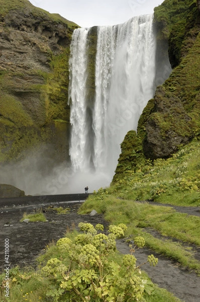 Obraz Seljalandsfoss waterfall, Iceland