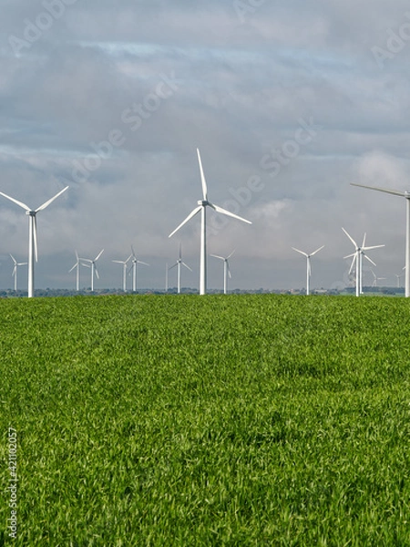 Obraz Parque eólico en España