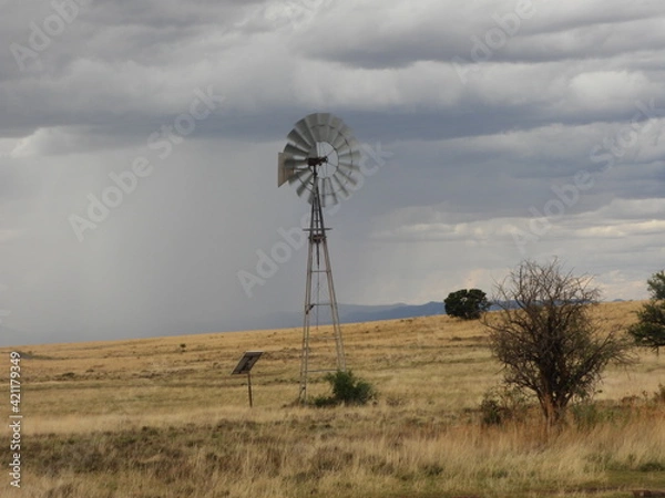 Obraz Rainy landscape scenery