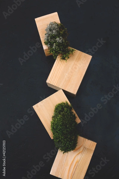 Obraz Natural mockup of moss,wood, tree bark and fern for cosmetics on black and grey background.