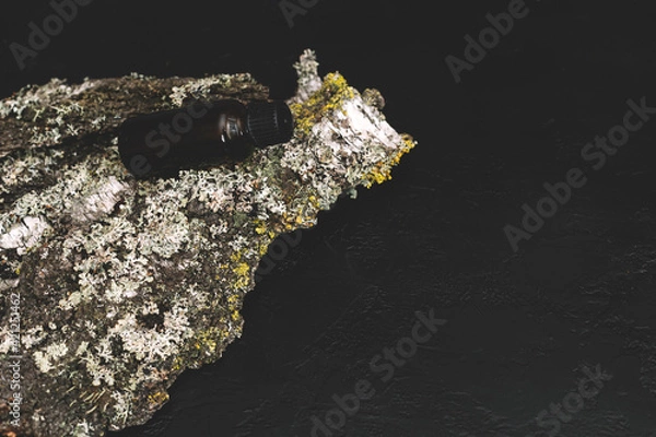 Obraz Spa cosmetics in brown glass bottles on natural background of moss,wood, tree bark and fern. Copy space for text.