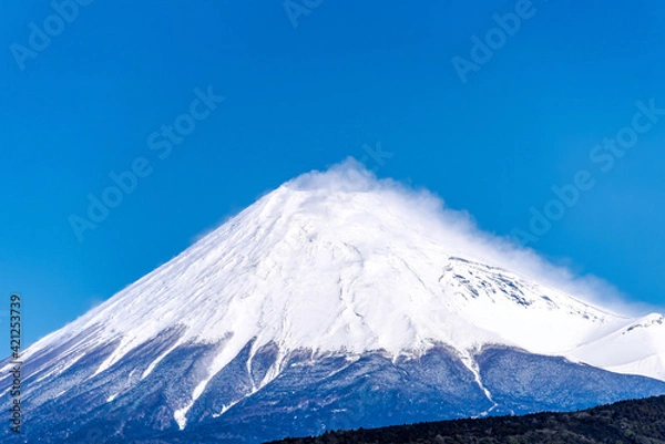 Fototapeta 静岡県から見る、冠雪した富士山