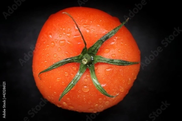 Obraz Red tomato with water droplets