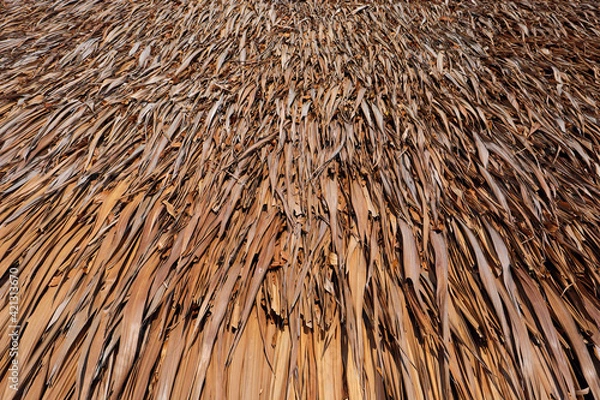 Fototapeta Thatched roof background. Roof made from dry grass.