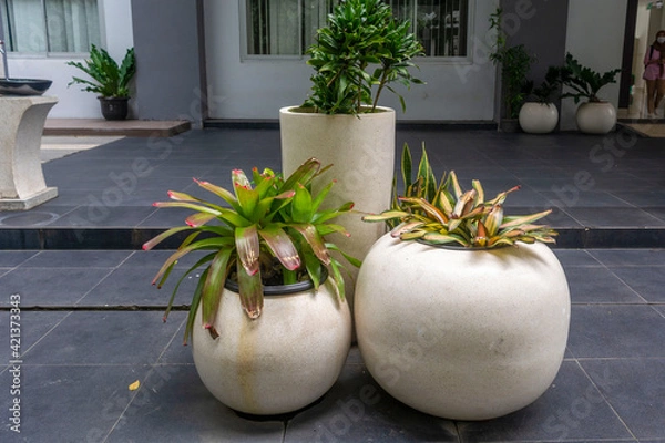 Obraz flowers in a vase