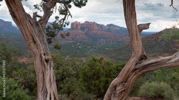 Obraz Sedona