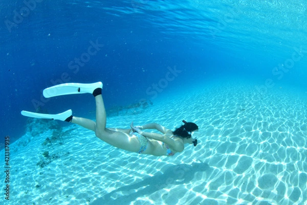 Fototapeta 綺麗な海でスノーケリング