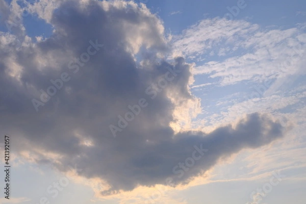 Fototapeta 鳳凰現る　Phoenix appears