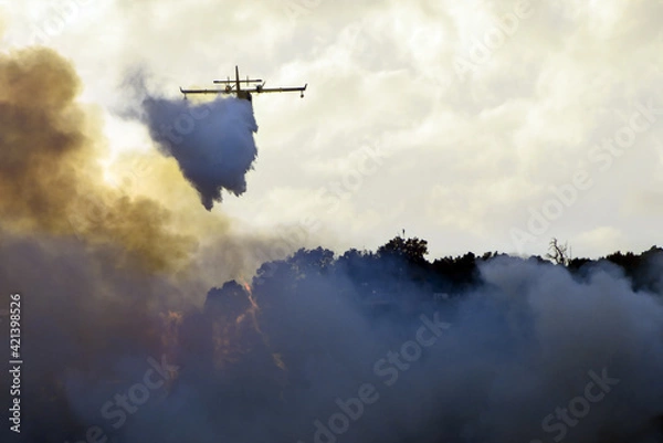 Fototapeta big fire in the mountains with high flames and a long tongue of fire between big clouds of smoke and a firefighting plane dumps water on the fire to try to tame it