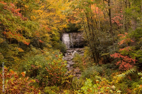 Obraz vibrant autumn foliage and peaceful cascading waterfalls in the Great Smoky Mountain National Park in Tennessee.
