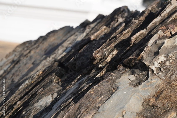 Fototapeta Selective focus The eroded stone resembles the pattern of the wood.