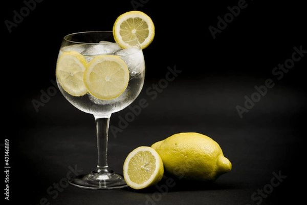 Obraz Gin Tonic Limon