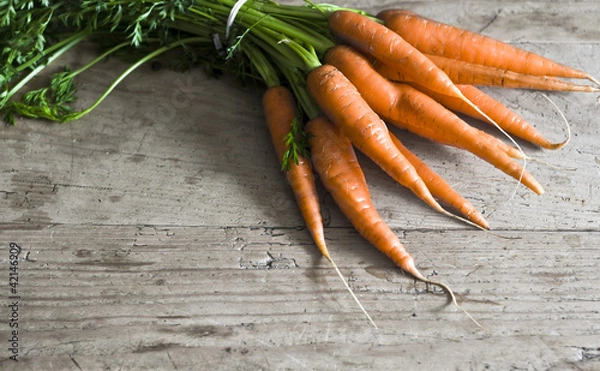Obraz Karotten
