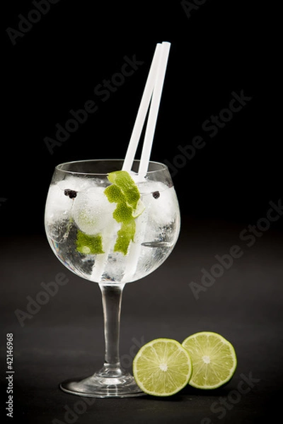 Obraz Gin tonic