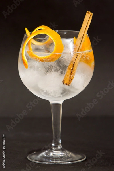 Obraz Gin tonic
