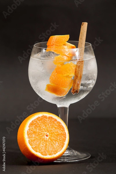 Obraz Gin tonic