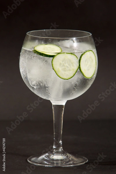 Obraz Gin tonic