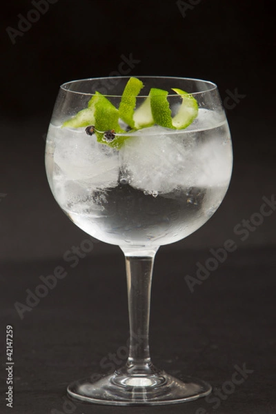 Obraz Gin tonic