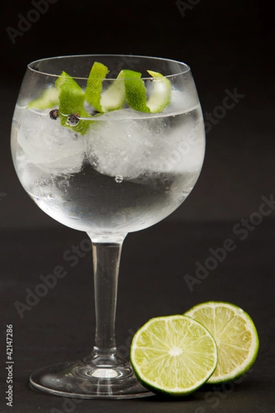 Fototapeta Gin tonic