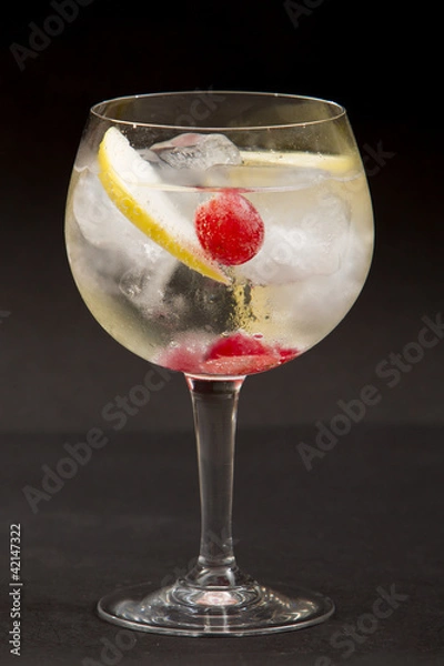 Obraz Gin tonic