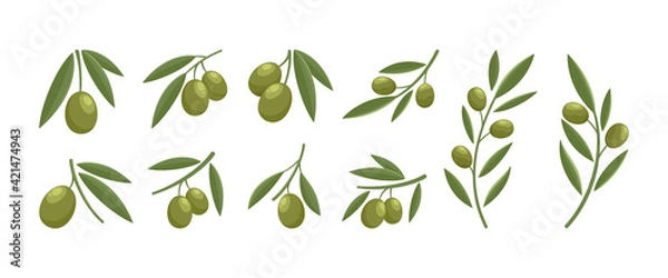 Fototapeta modern olive logo design set