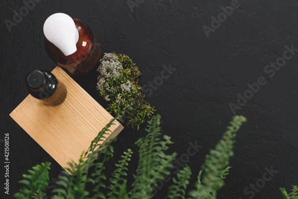 Obraz Spa cosmetics in brown glass bottles on natural background of moss,wood, tree bark and fern. Copy space for text.