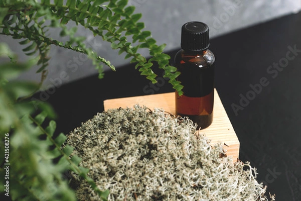 Obraz Spa cosmetics in brown glass bottles on natural background of moss,wood, tree bark and fern. Copy space for text.