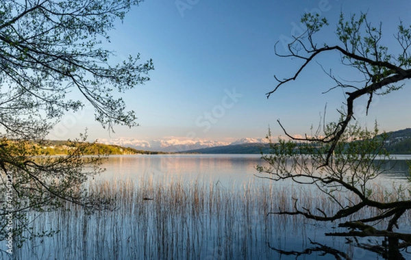 Obraz Hallwilersee mit Bergpanorama