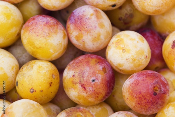 Fototapeta Mirabelle6