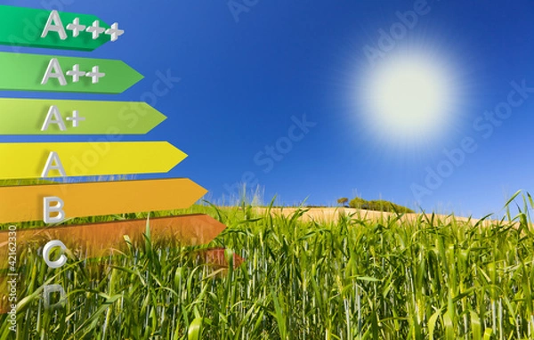 Obraz Etykieta definicji klasy efektywności UE na polu kukurydzy