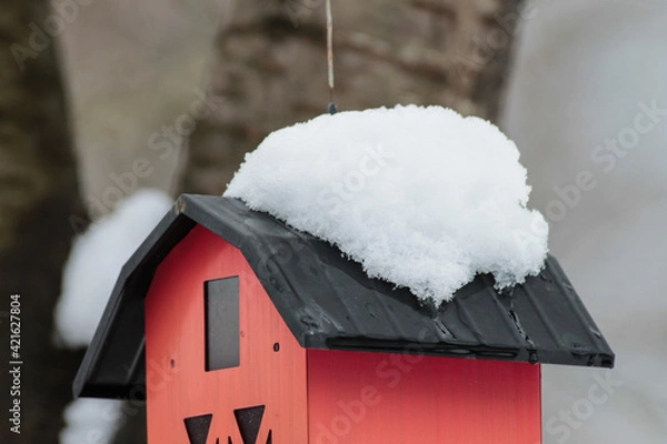 Obraz Snow on Red Bird Feeder