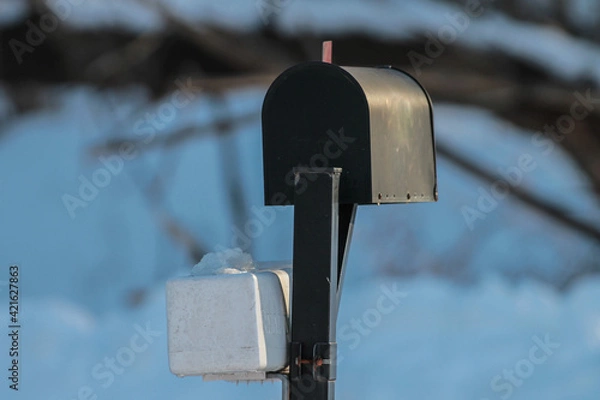 Obraz Mailbox with Flag Up