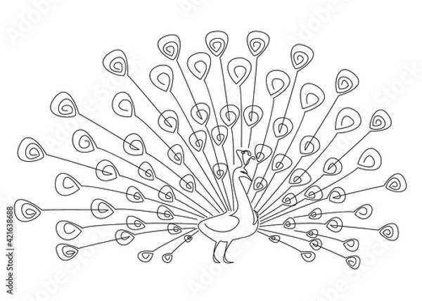 Fototapeta Beautiful peacock. Bird with a lush tail in a modern one line style. Solid line, outline for decor, posters, stickers, logo. Vector illustration.