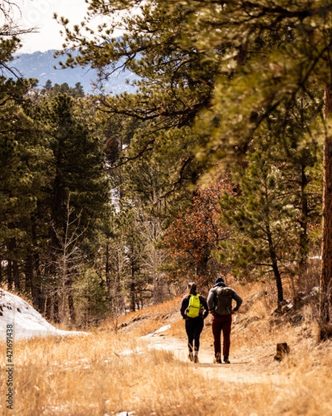 Obraz backpackers hiking in woods
