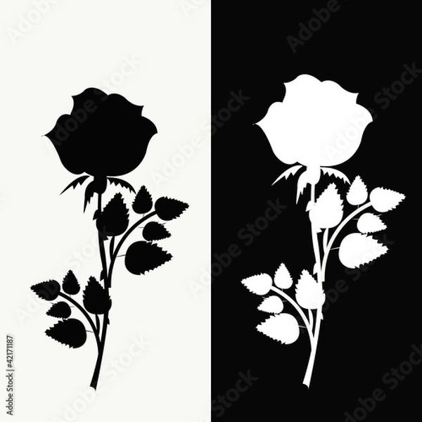 Obraz Two roses, black and white