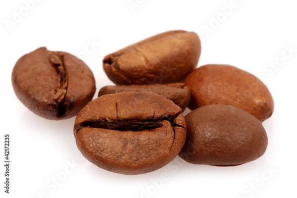 Obraz Caffè su sfondo bianco