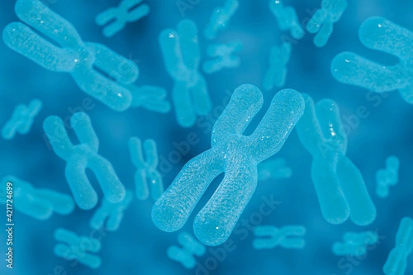 Obraz 3D Rendering Chromosome Intracellular view
