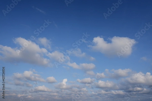 Fototapeta clouds in the sky