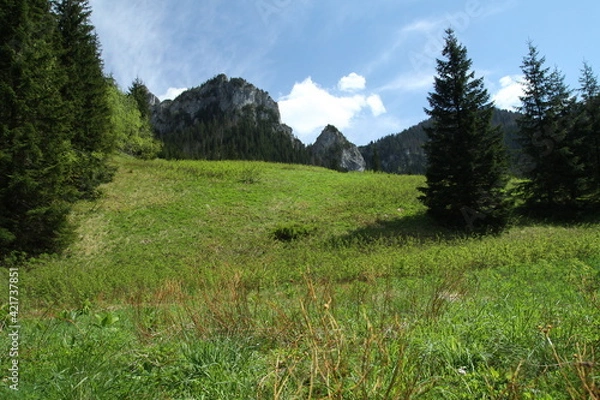 Obraz landscape in the mountains