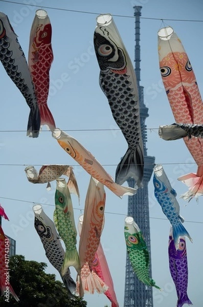 Fototapeta 鯉のぼり