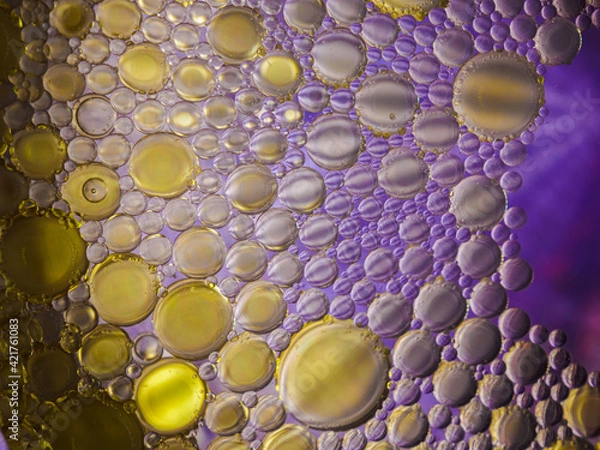 Obraz Colorful macro shot of olive oil bubbles in a colored glass of water