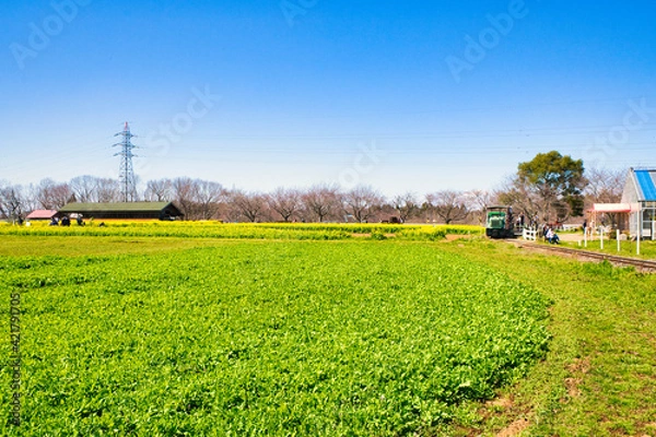 Obraz 成田ゆめ牧場