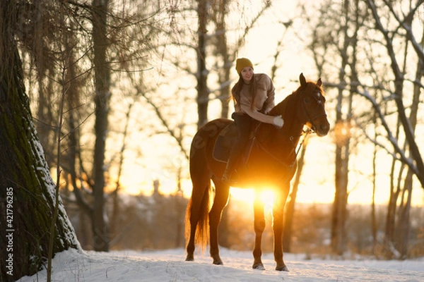 Obraz Young woman in sweater and cap riding a brown horse on snow at sunset. Background of winter trees and sunset sky