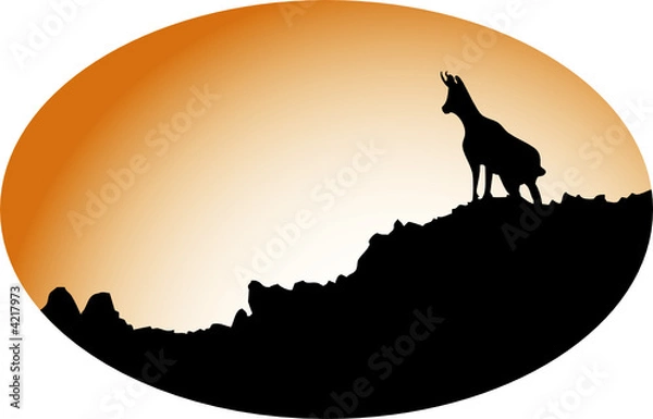 Obraz Isard au crépuscule