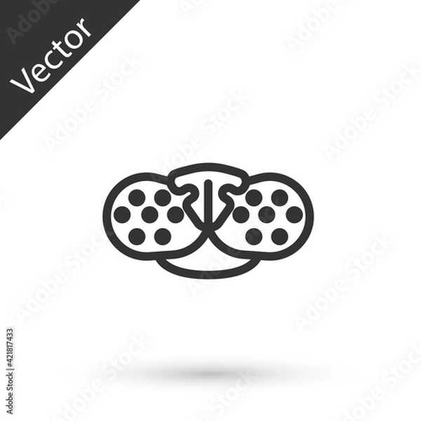 Fototapeta Grey line Cat nose icon isolated on white background. Vector