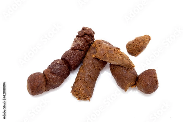 Obraz poop, cat excrement with clipping path isolated on white background.