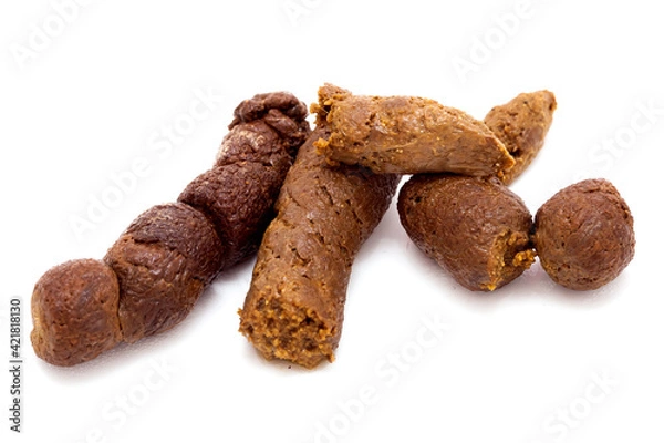 Obraz poo closeup, cat excrement with clipping path isolated on white background.