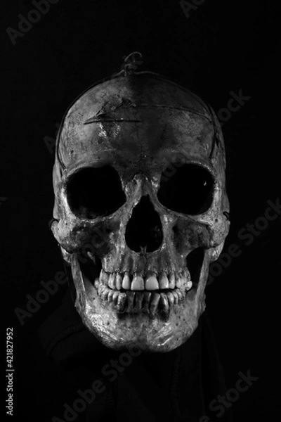 Fototapeta skull on black